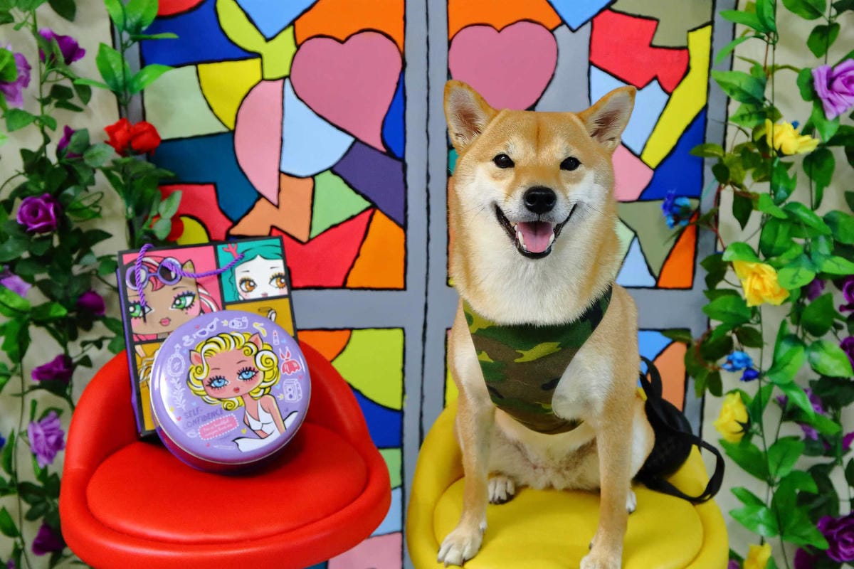 【食。中壢】輕鬆做烘焙diy-小玉手工曲奇餅〜中秋送禮新選擇！免飛香港，香酥奶油曲奇餅，可愛鐵盒快收藏！(已歇業)