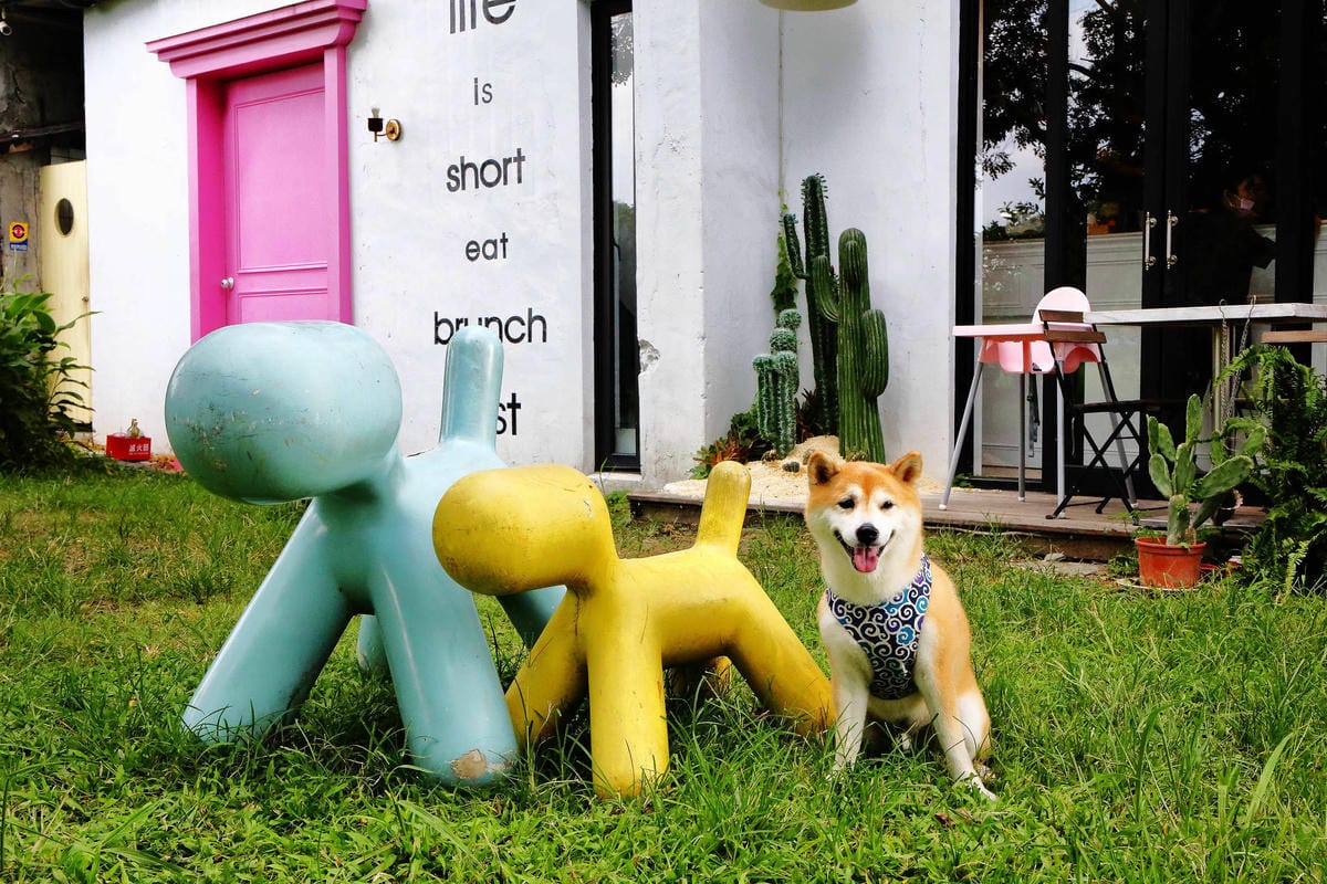 【食。宜蘭】好2食堂〜IG新打卡熱門點。熱炒店+網美店宜蘭必吃美食！沒有訂位吃不到的好味道！(寵物友善餐廳)