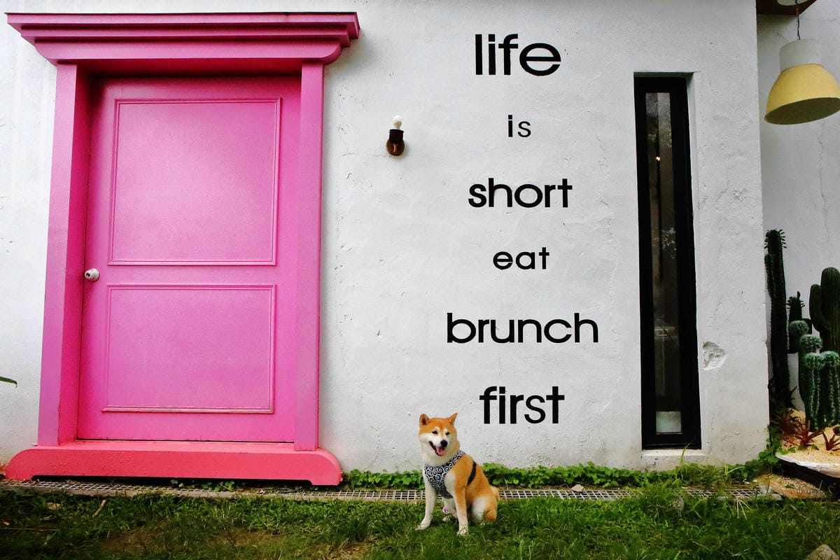 【食。宜蘭】好2食堂〜IG新打卡熱門點。熱炒店+網美店宜蘭必吃美食！沒有訂位吃不到的好味道！(寵物友善餐廳)