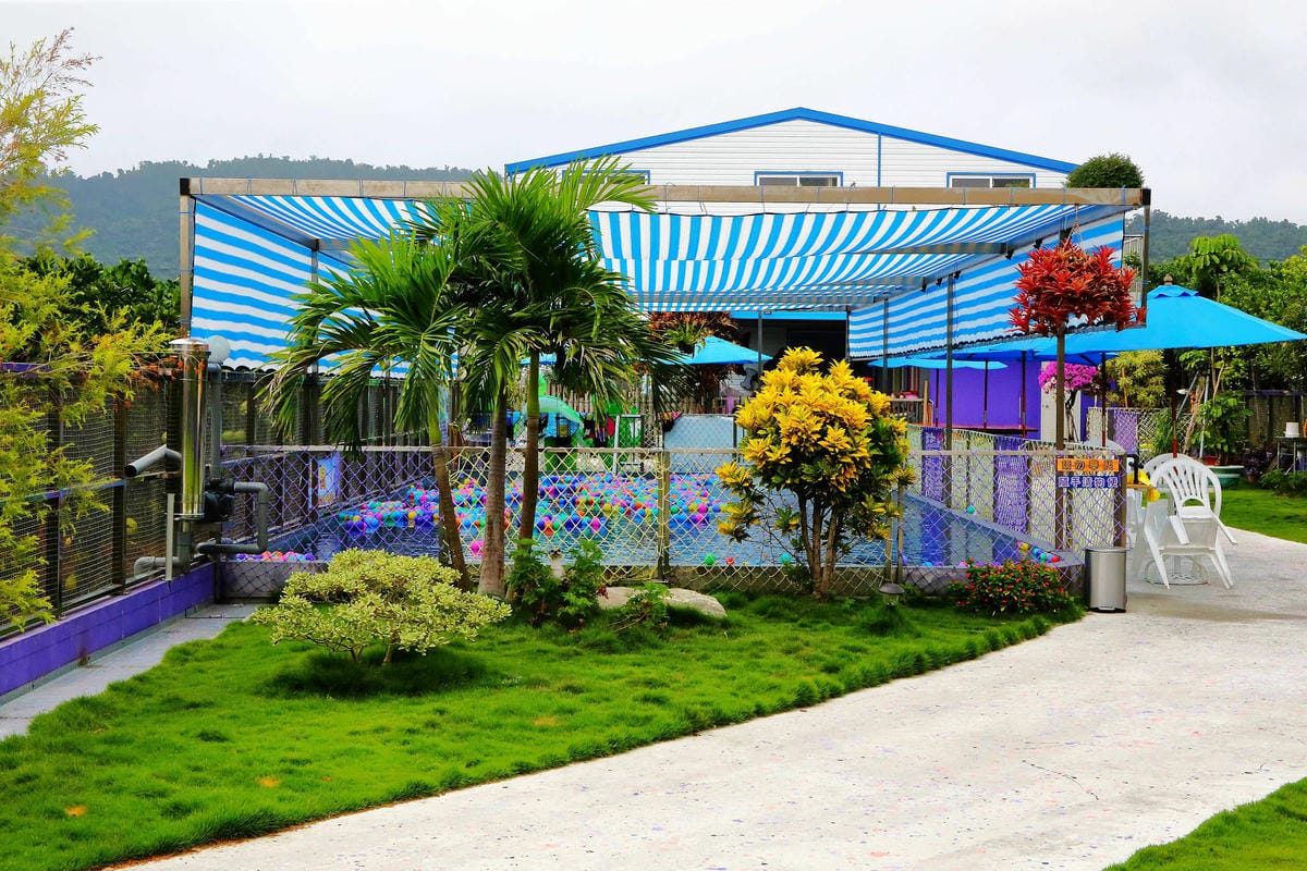 【宿。宜蘭】柚紫緣寵物友善民宿〜帶著毛小孩來去住一晚，毛孩們可以盡情奔跑、游泳戲水，擁有悠閒愜意的渡假氛圍