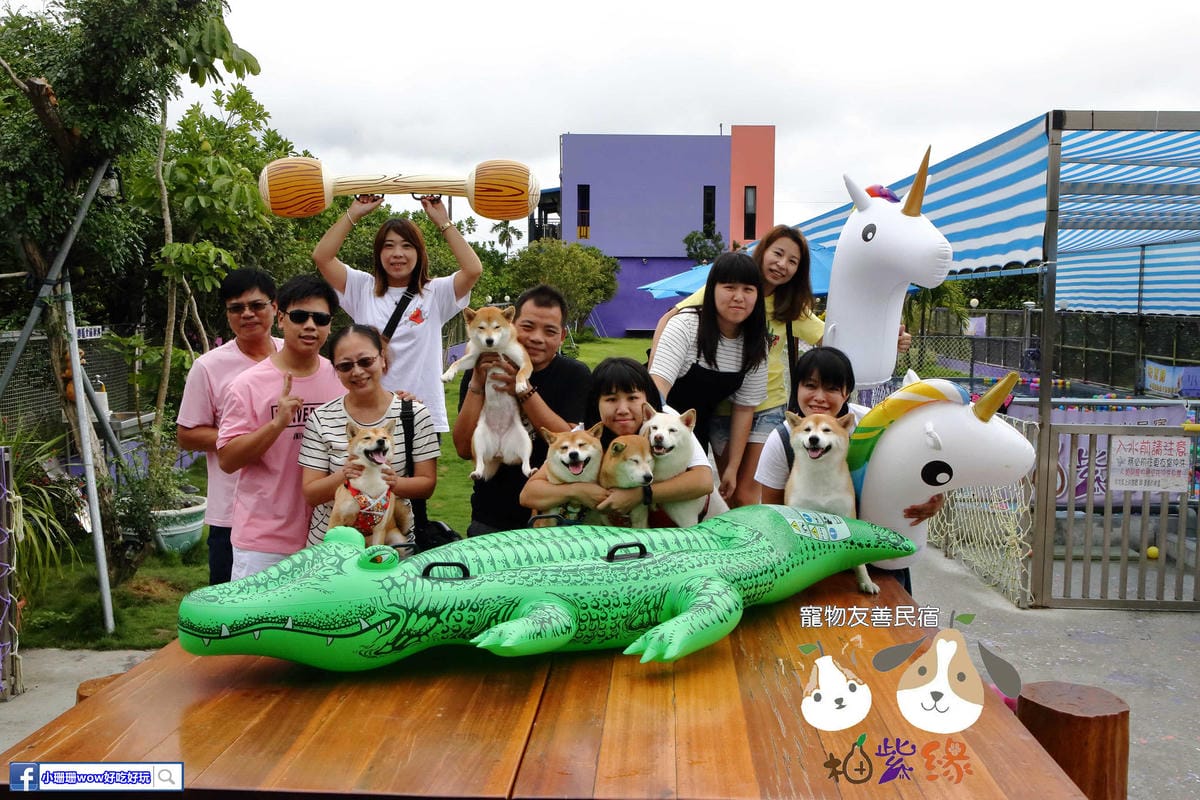 【宿。宜蘭】柚紫緣寵物友善民宿〜帶著毛小孩來去住一晚，毛孩們可以盡情奔跑、游泳戲水，擁有悠閒愜意的渡假氛圍