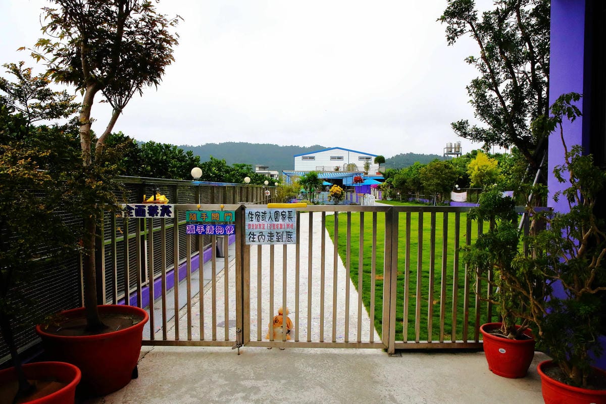 【宿。宜蘭】柚紫緣寵物友善民宿〜帶著毛小孩來去住一晚，毛孩們可以盡情奔跑、游泳戲水，擁有悠閒愜意的渡假氛圍