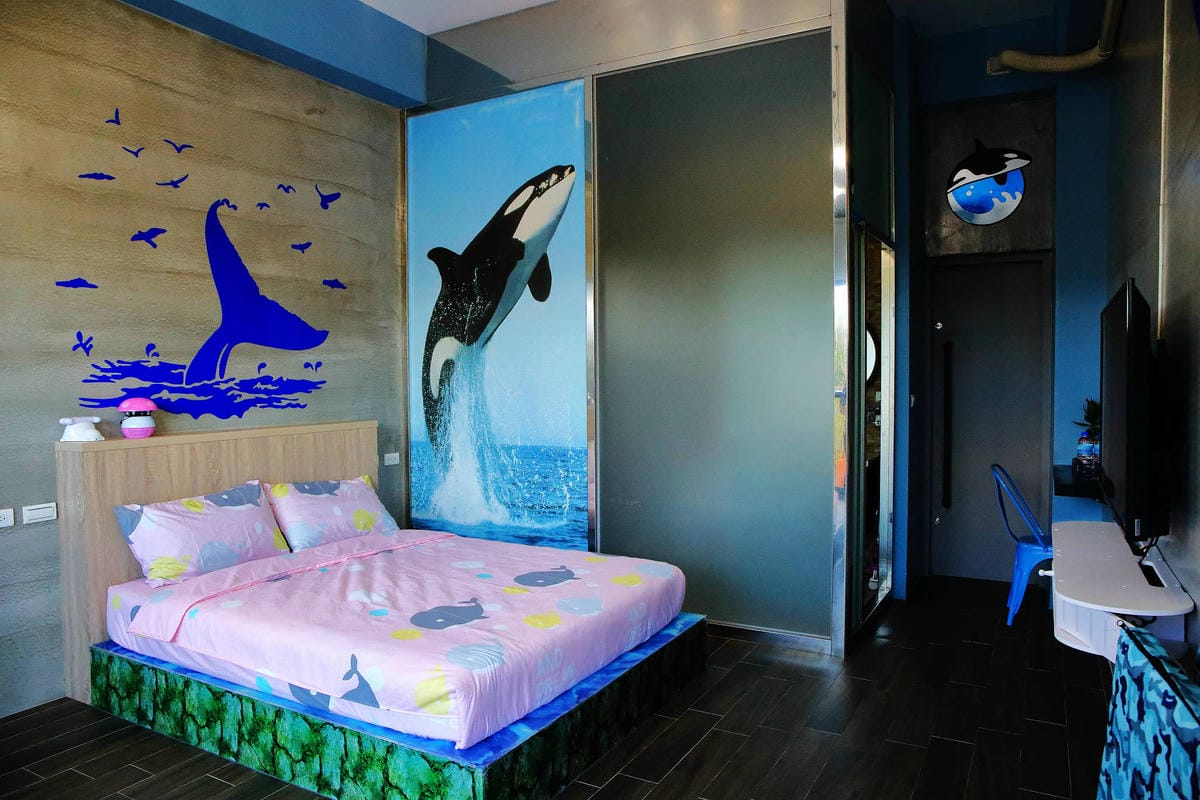 【宿。宜蘭】柚紫緣寵物友善民宿〜帶著毛小孩來去住一晚，毛孩們可以盡情奔跑、游泳戲水，擁有悠閒愜意的渡假氛圍