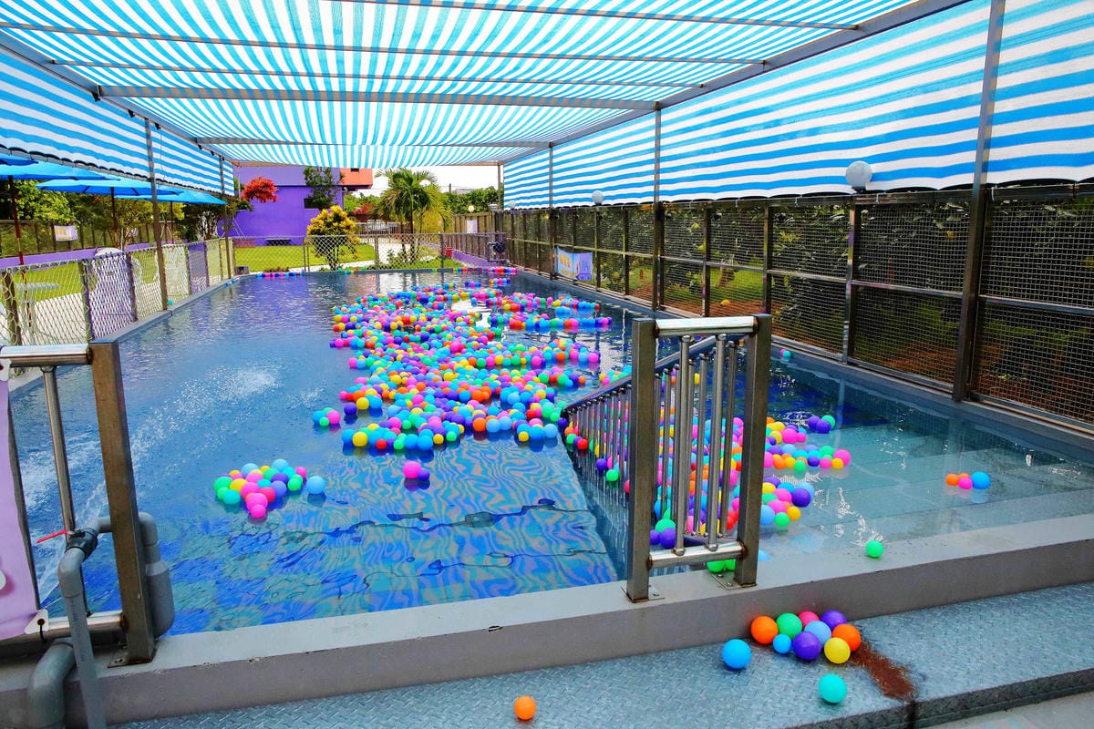 【宿。宜蘭】柚紫緣寵物友善民宿〜帶著毛小孩來去住一晚，毛孩們可以盡情奔跑、游泳戲水，擁有悠閒愜意的渡假氛圍