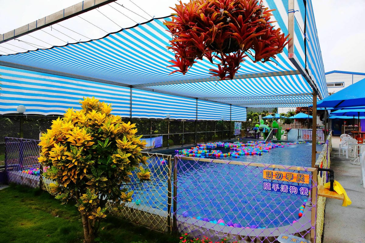 【宿。宜蘭】柚紫緣寵物友善民宿〜帶著毛小孩來去住一晚，毛孩們可以盡情奔跑、游泳戲水，擁有悠閒愜意的渡假氛圍