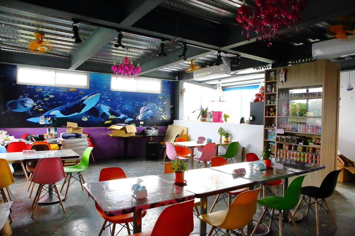 【宿。宜蘭】柚紫緣寵物友善民宿〜帶著毛小孩來去住一晚，毛孩們可以盡情奔跑、游泳戲水，擁有悠閒愜意的渡假氛圍