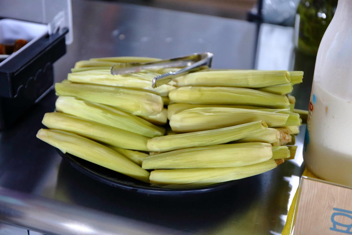 【宿。宜蘭】柚紫緣寵物友善民宿〜帶著毛小孩來去住一晚，毛孩們可以盡情奔跑、游泳戲水，擁有悠閒愜意的渡假氛圍