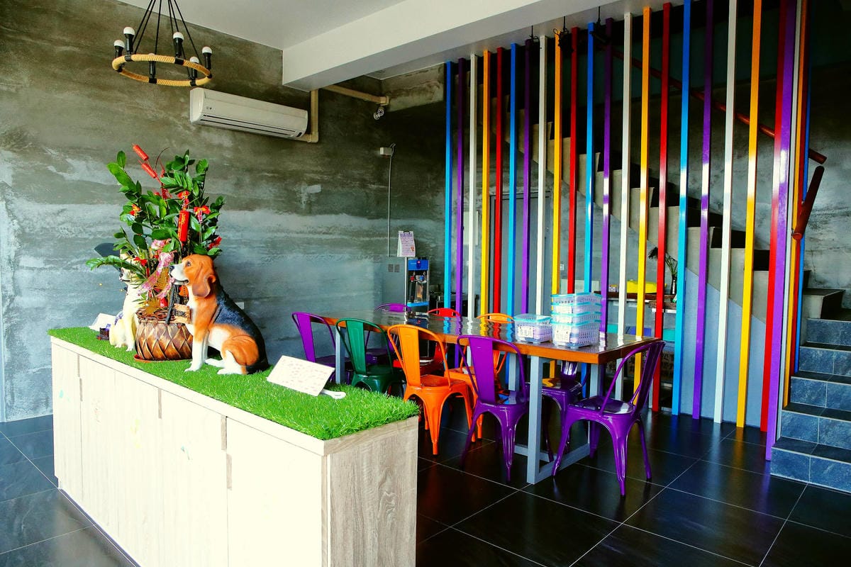 【宿。宜蘭】柚紫緣寵物友善民宿〜帶著毛小孩來去住一晚，毛孩們可以盡情奔跑、游泳戲水，擁有悠閒愜意的渡假氛圍