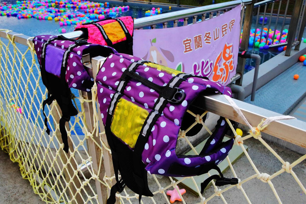 【宿。宜蘭】柚紫緣寵物友善民宿〜帶著毛小孩來去住一晚，毛孩們可以盡情奔跑、游泳戲水，擁有悠閒愜意的渡假氛圍