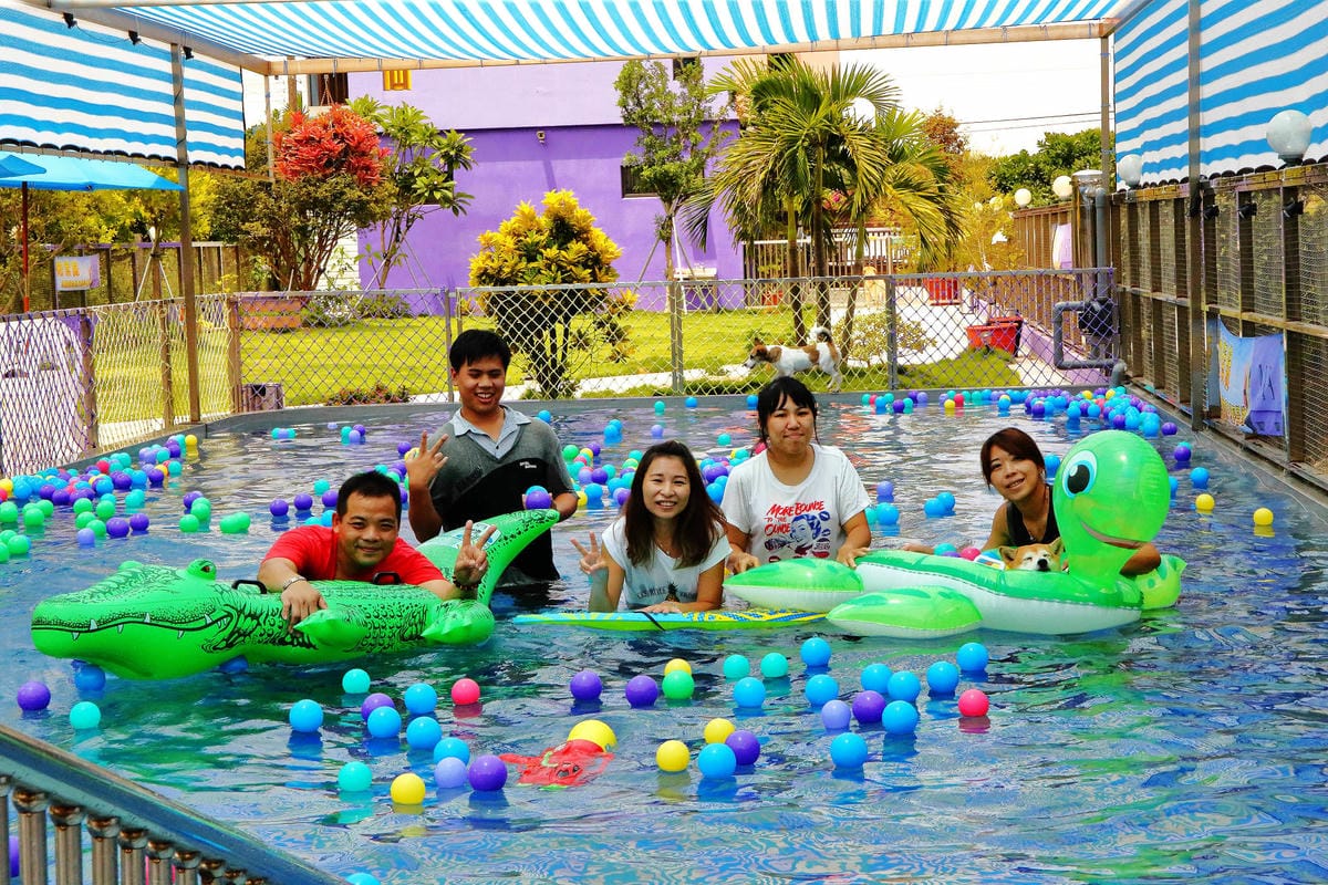 【宿。宜蘭】柚紫緣寵物友善民宿〜帶著毛小孩來去住一晚，毛孩們可以盡情奔跑、游泳戲水，擁有悠閒愜意的渡假氛圍