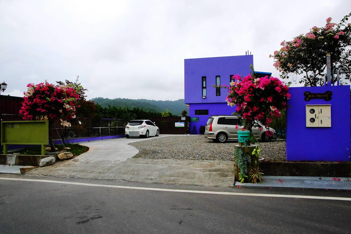 【宿。宜蘭】柚紫緣寵物友善民宿〜帶著毛小孩來去住一晚，毛孩們可以盡情奔跑、游泳戲水，擁有悠閒愜意的渡假氛圍