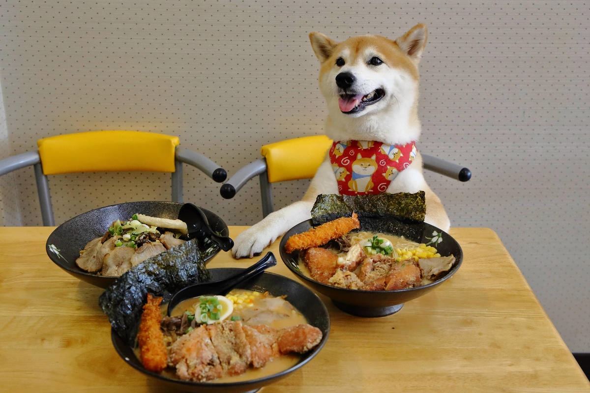 【食。龜山】揹潶鍋日式拉麵-龜山文化店〜小資族平價拉麵定食推薦!超濃郁豚骨湯頭,完全欲罷不能!(已歇業)