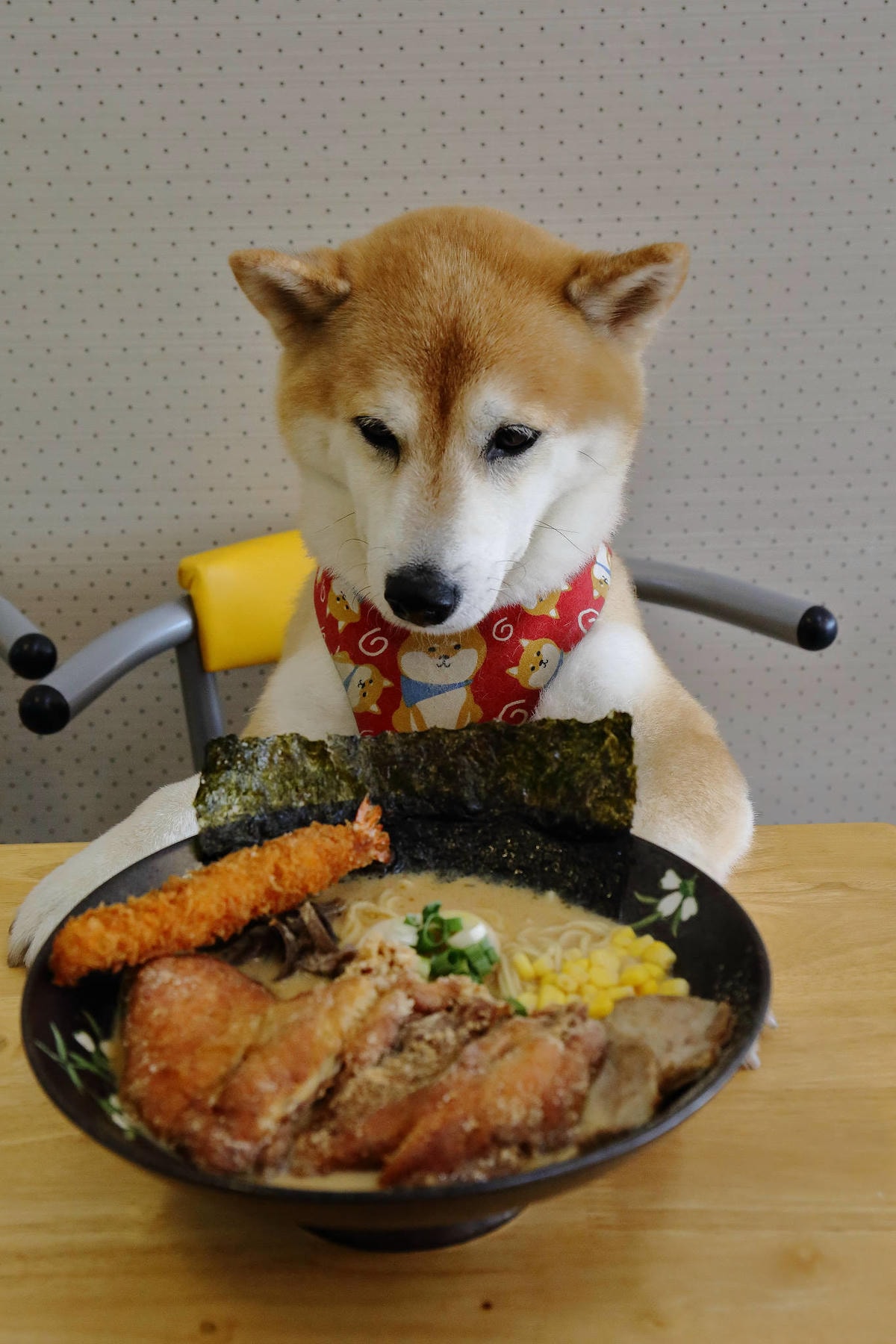 【食。龜山】揹潶鍋日式拉麵-龜山文化店〜小資族平價拉麵定食推薦!超濃郁豚骨湯頭,完全欲罷不能!(已歇業)