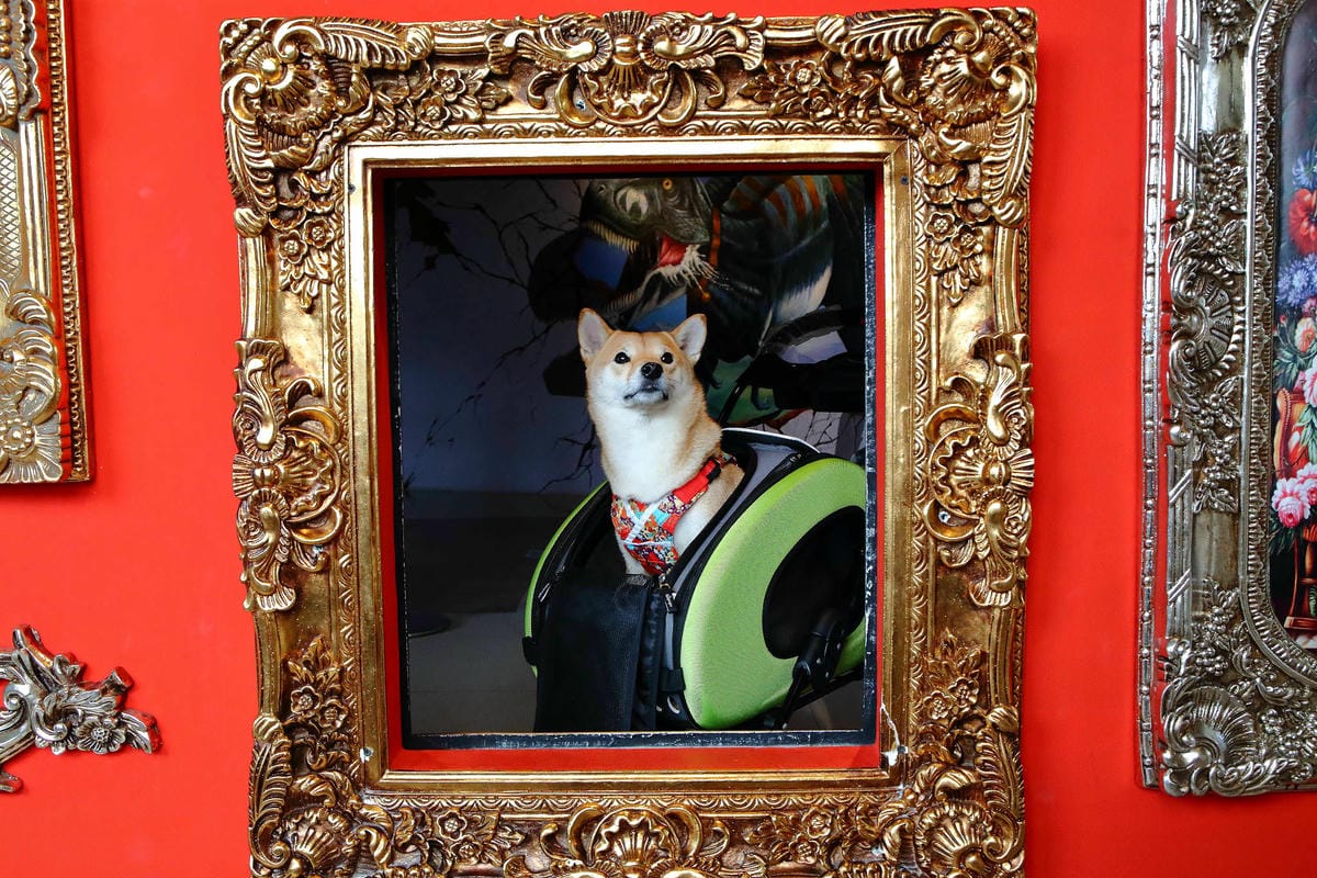 【遊。宜蘭】OMG 畫框博物館〜宜蘭親子景點。藝術互動主題體驗館，3D彩繪牆/親子DIY/闖關遊戲，好玩又好拍！