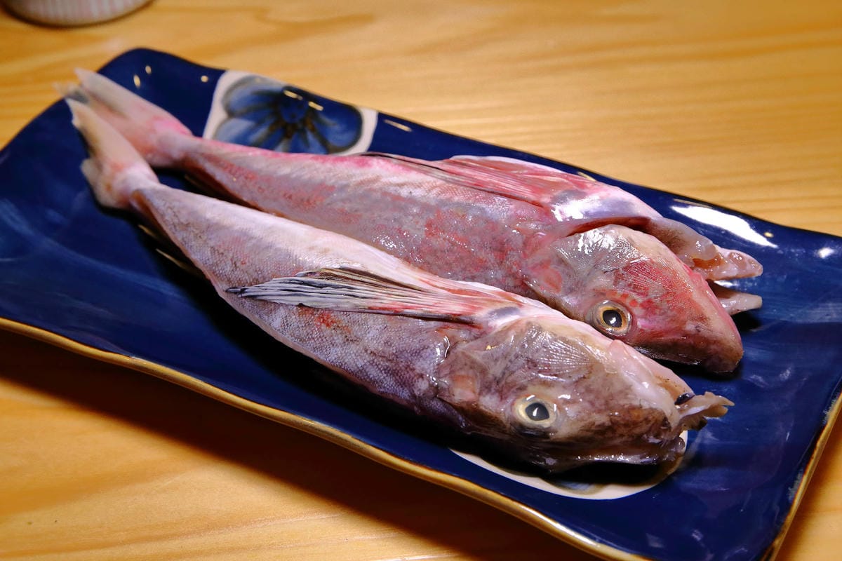 【食。北投】漁當家食堂〜低調好吃的日式無菜單料理。一網打盡最「新鮮活跳」的食材，身為饕客的你不必將就！