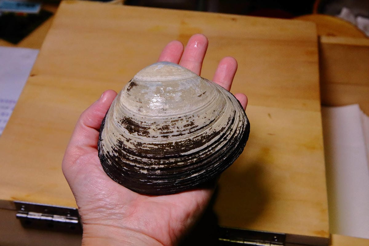 【食。台北】佐樂壽司 Omakase〜台北Omakase。日式無菜單料理，新鮮高等級漁貨，香港觀光客指定必吃！