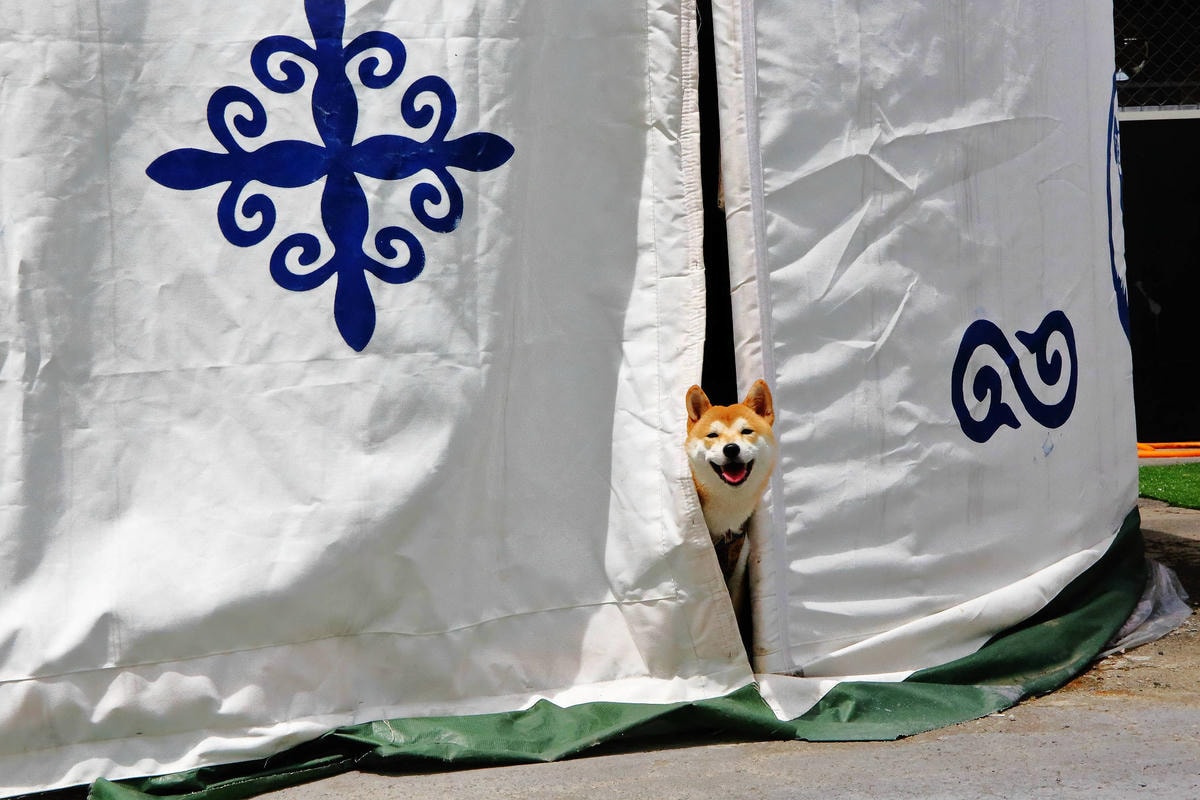 【食。中壢】龍岡蒸籠宴〜全台「古早味」蒸籠在桃園!12道料理每人不到五百元,海陸饗宴一次滿足(已歇業)