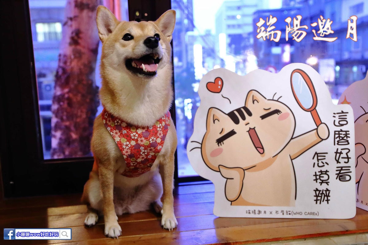 【食。桃園】端陽邀月複合式餐廳〜桃園聚會聚餐。專屬自己包廂,乾冰系調酒、中式套餐、火鍋,平價美食任你選,不噴錢的好氣氛餐廳