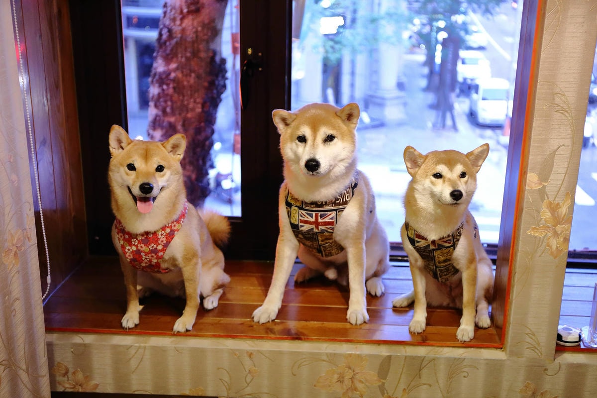 【食。桃園】端陽邀月複合式餐廳〜桃園聚會聚餐。專屬自己包廂,乾冰系調酒、中式套餐、火鍋,平價美食任你選,不噴錢的好氣氛餐廳