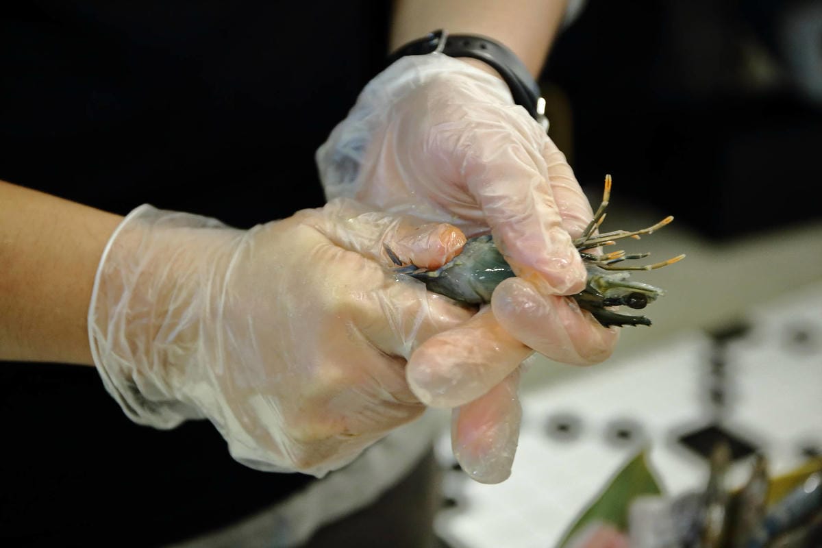【食。板橋】武鶴 和牛火鍋 板橋館前〜板橋和牛火鍋推薦。「沒有最狂，只有更狂」，12OZ日本和牛+海鮮船只要2000多，吃過一次就回不去的好味道！