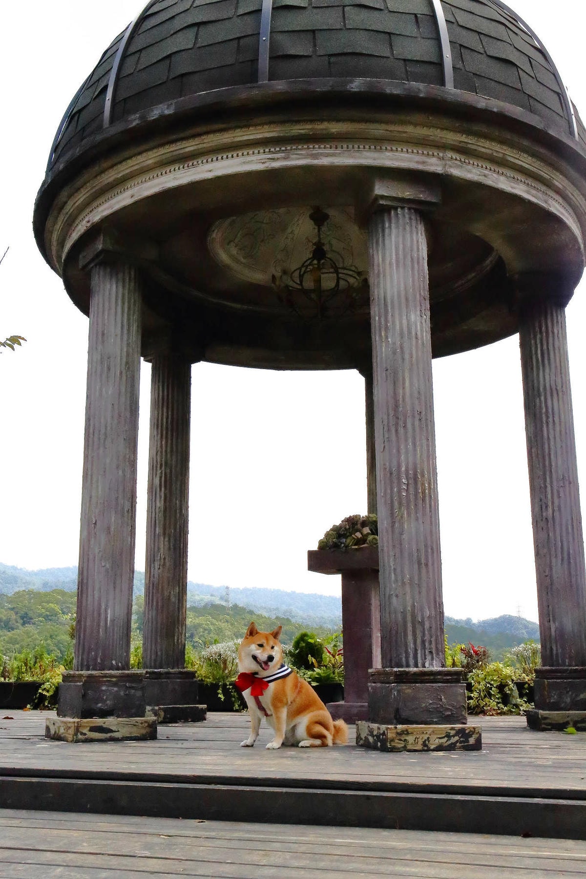 【遊。苗栗三義】莫內秘密花園婚紗攝影基地〜不用出國就可拍出別具風格的獨特婚紗照,不藏私中部絕美婚紗外拍景點分享!