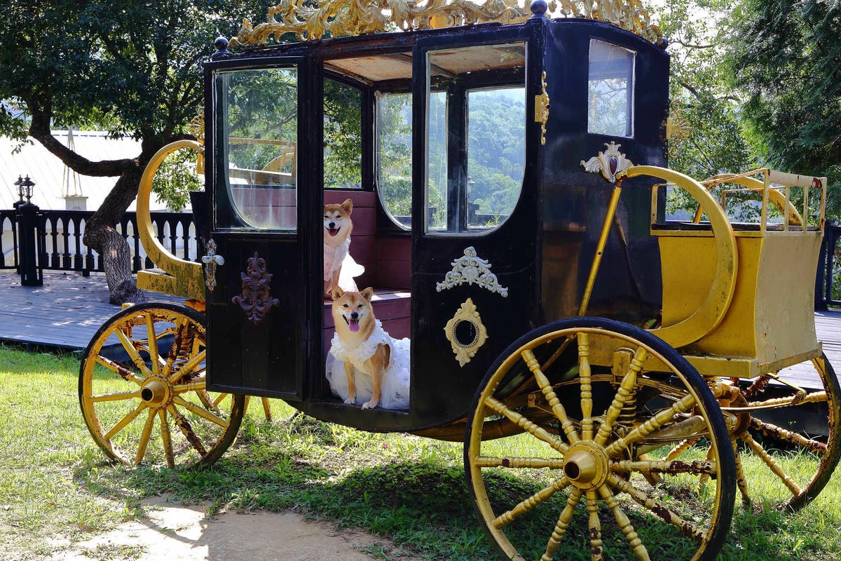 【遊。苗栗三義】莫內秘密花園婚紗攝影基地〜不用出國就可拍出別具風格的獨特婚紗照,不藏私中部絕美婚紗外拍景點分享!