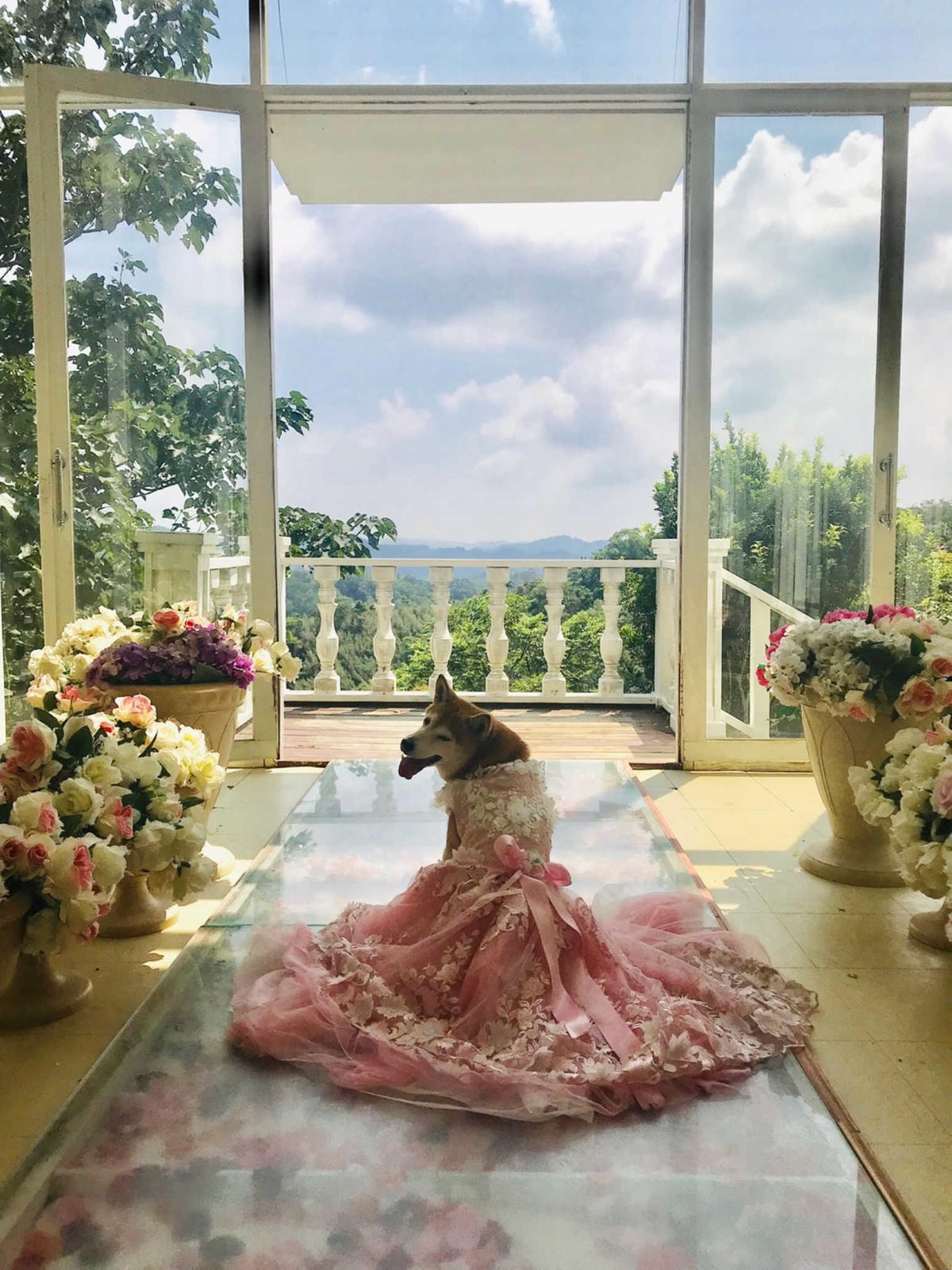 【遊。苗栗三義】莫內秘密花園婚紗攝影基地〜不用出國就可拍出別具風格的獨特婚紗照,不藏私中部絕美婚紗外拍景點分享!