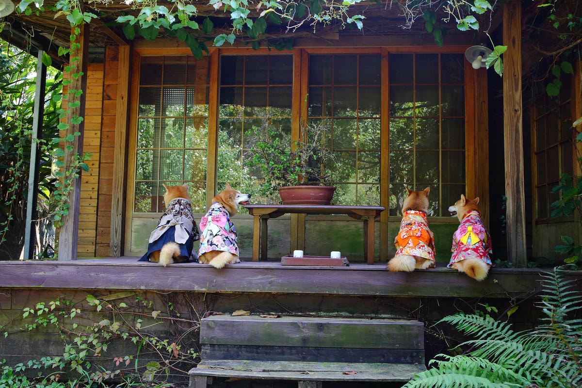 【遊。苗栗三義】莫內秘密花園婚紗攝影基地〜不用出國就可拍出別具風格的獨特婚紗照,不藏私中部絕美婚紗外拍景點分享!