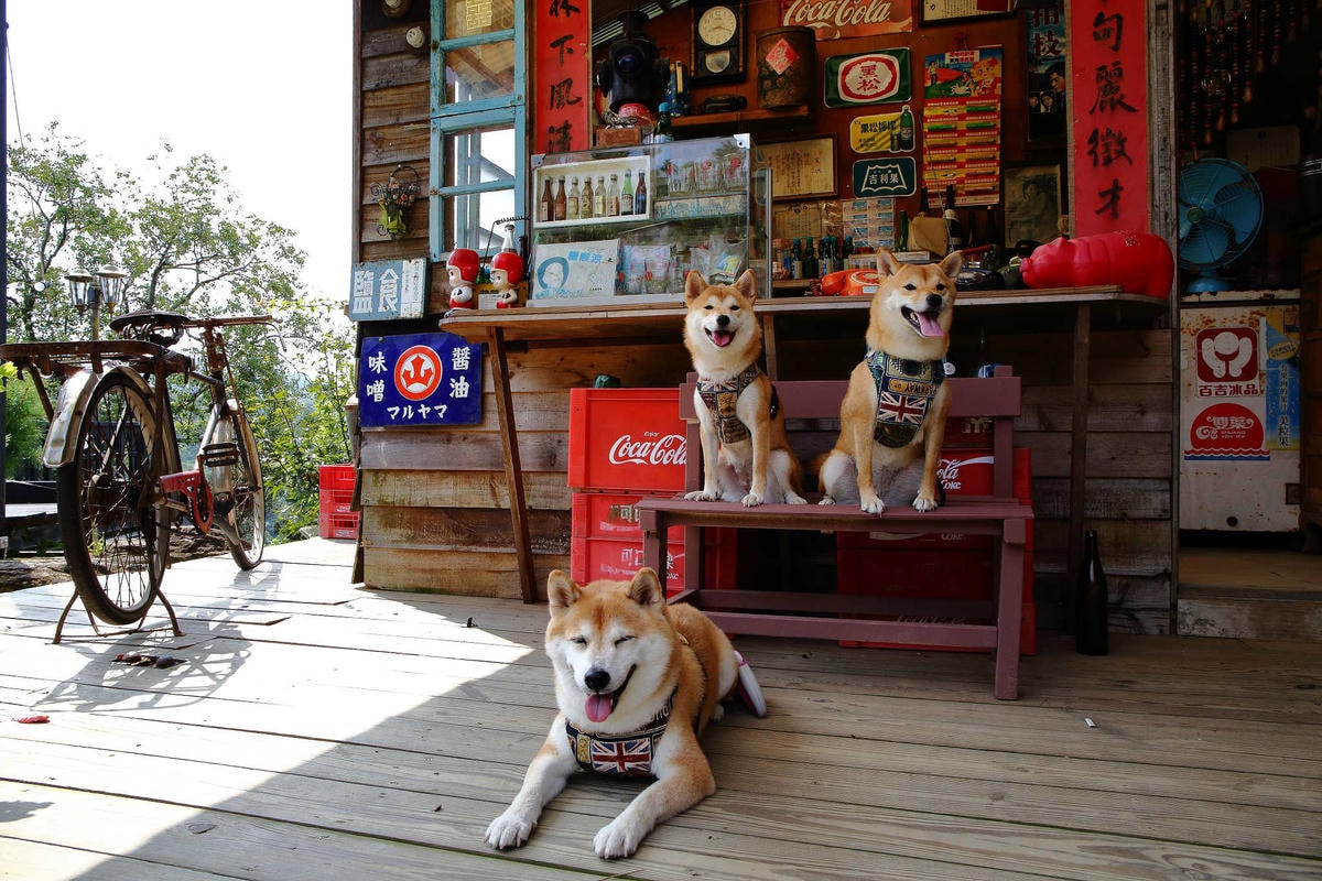 【遊。苗栗三義】莫內秘密花園婚紗攝影基地〜不用出國就可拍出別具風格的獨特婚紗照,不藏私中部絕美婚紗外拍景點分享!