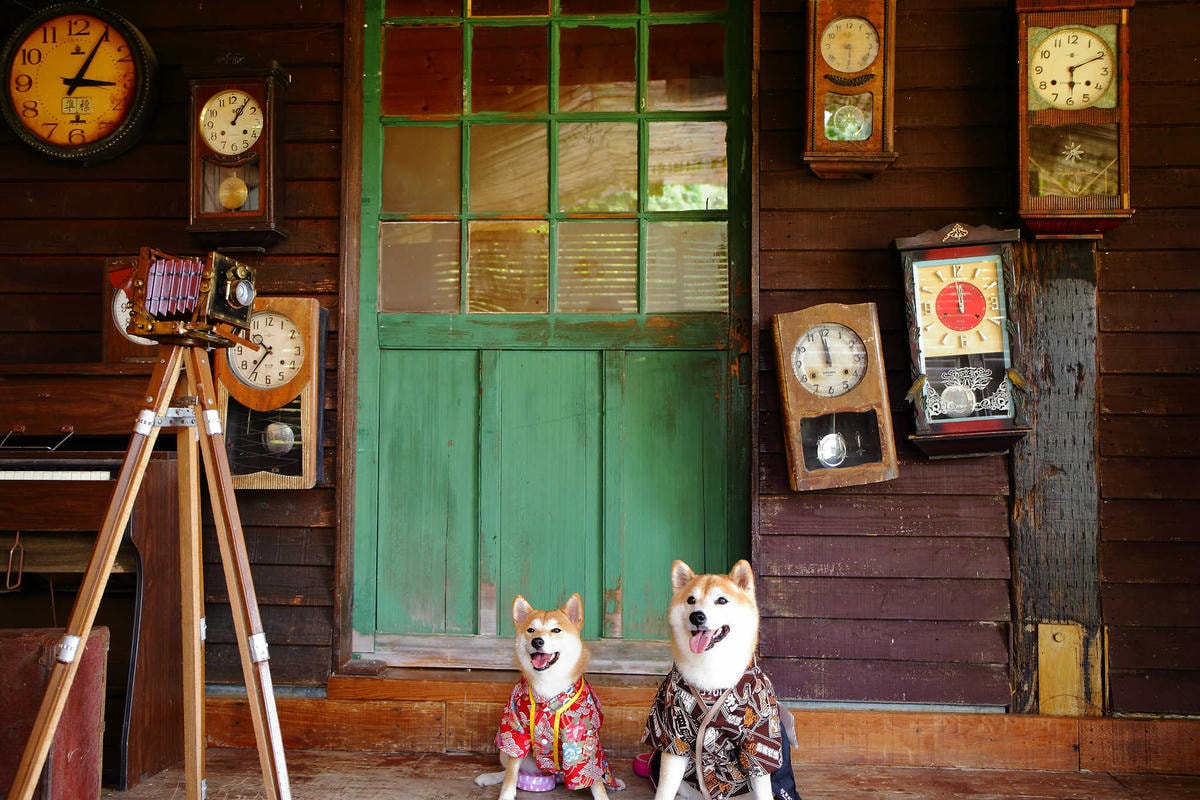 【遊。苗栗三義】莫內秘密花園婚紗攝影基地〜不用出國就可拍出別具風格的獨特婚紗照,不藏私中部絕美婚紗外拍景點分享!