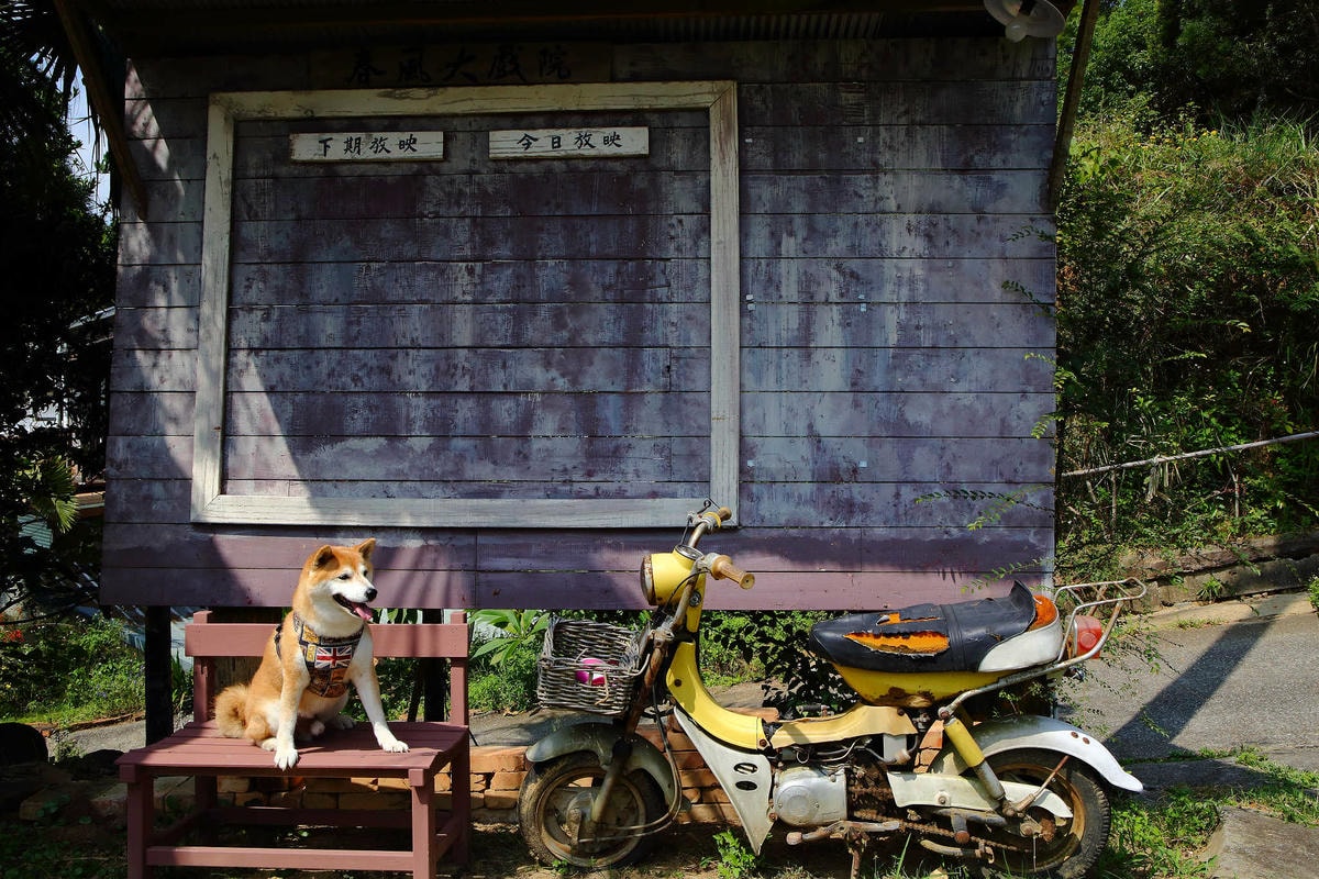【遊。苗栗三義】莫內秘密花園婚紗攝影基地〜不用出國就可拍出別具風格的獨特婚紗照,不藏私中部絕美婚紗外拍景點分享!
