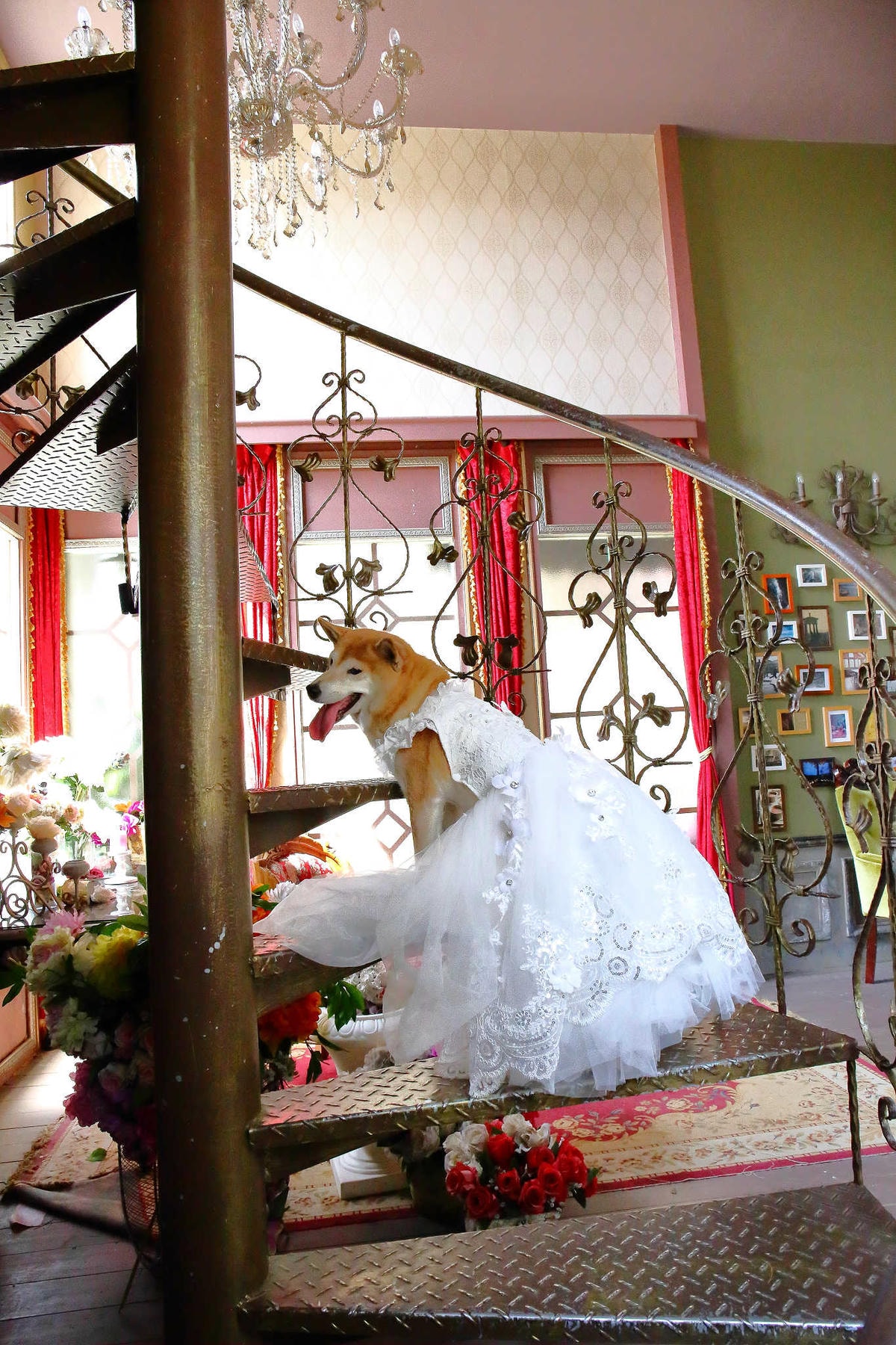 【遊。苗栗三義】莫內秘密花園婚紗攝影基地〜不用出國就可拍出別具風格的獨特婚紗照,不藏私中部絕美婚紗外拍景點分享!