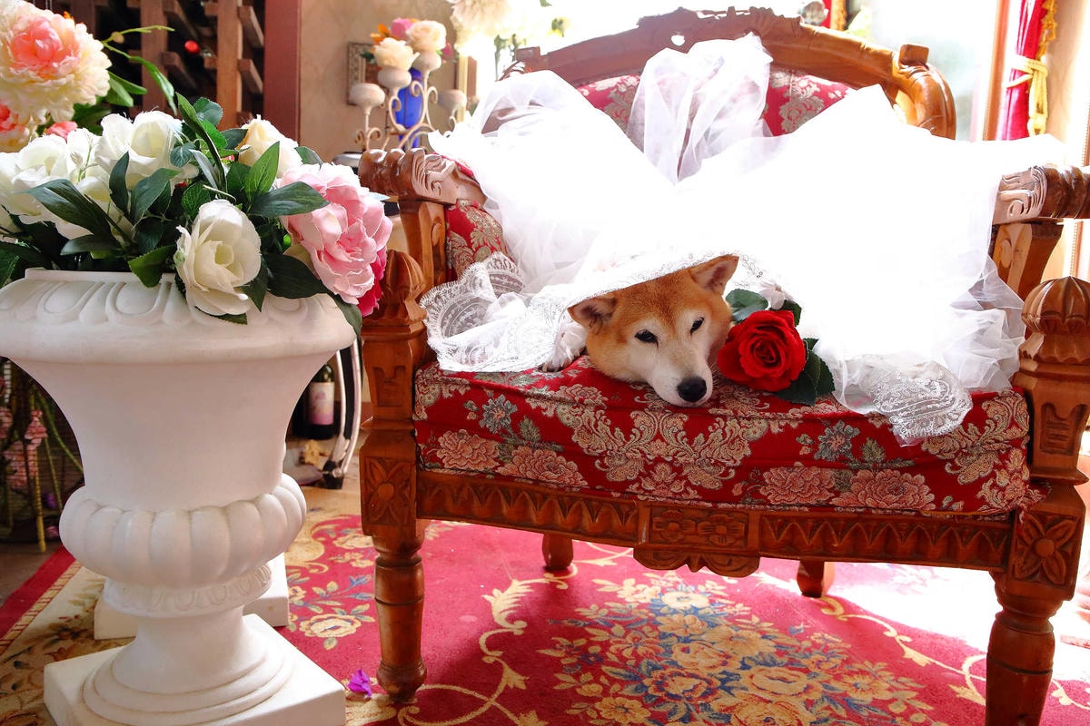 【遊。苗栗三義】莫內秘密花園婚紗攝影基地〜不用出國就可拍出別具風格的獨特婚紗照,不藏私中部絕美婚紗外拍景點分享!