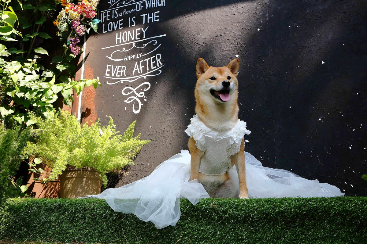 【遊。苗栗三義】莫內秘密花園婚紗攝影基地〜不用出國就可拍出別具風格的獨特婚紗照,不藏私中部絕美婚紗外拍景點分享!