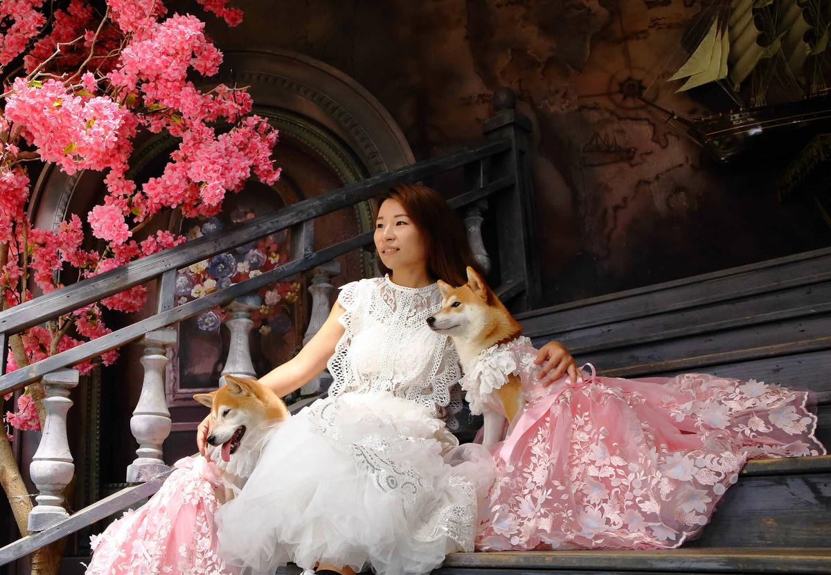 【遊。苗栗三義】莫內秘密花園婚紗攝影基地〜不用出國就可拍出別具風格的獨特婚紗照,不藏私中部絕美婚紗外拍景點分享!