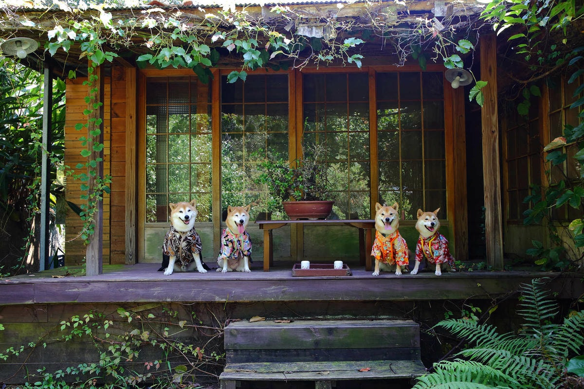 【遊。苗栗三義】莫內秘密花園婚紗攝影基地〜不用出國就可拍出別具風格的獨特婚紗照,不藏私中部絕美婚紗外拍景點分享!