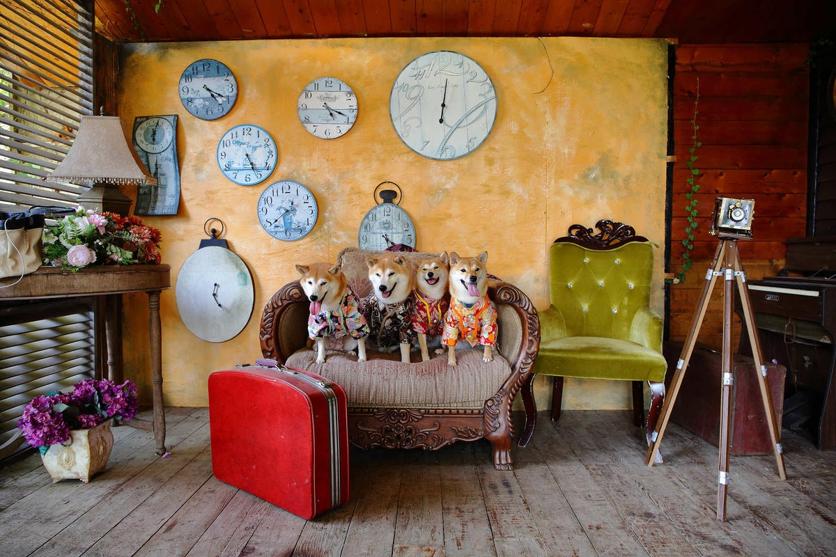 【遊。苗栗三義】莫內秘密花園婚紗攝影基地〜不用出國就可拍出別具風格的獨特婚紗照,不藏私中部絕美婚紗外拍景點分享!