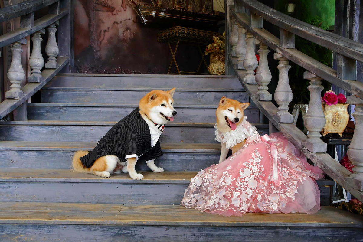 【遊。苗栗三義】莫內秘密花園婚紗攝影基地〜不用出國就可拍出別具風格的獨特婚紗照,不藏私中部絕美婚紗外拍景點分享!