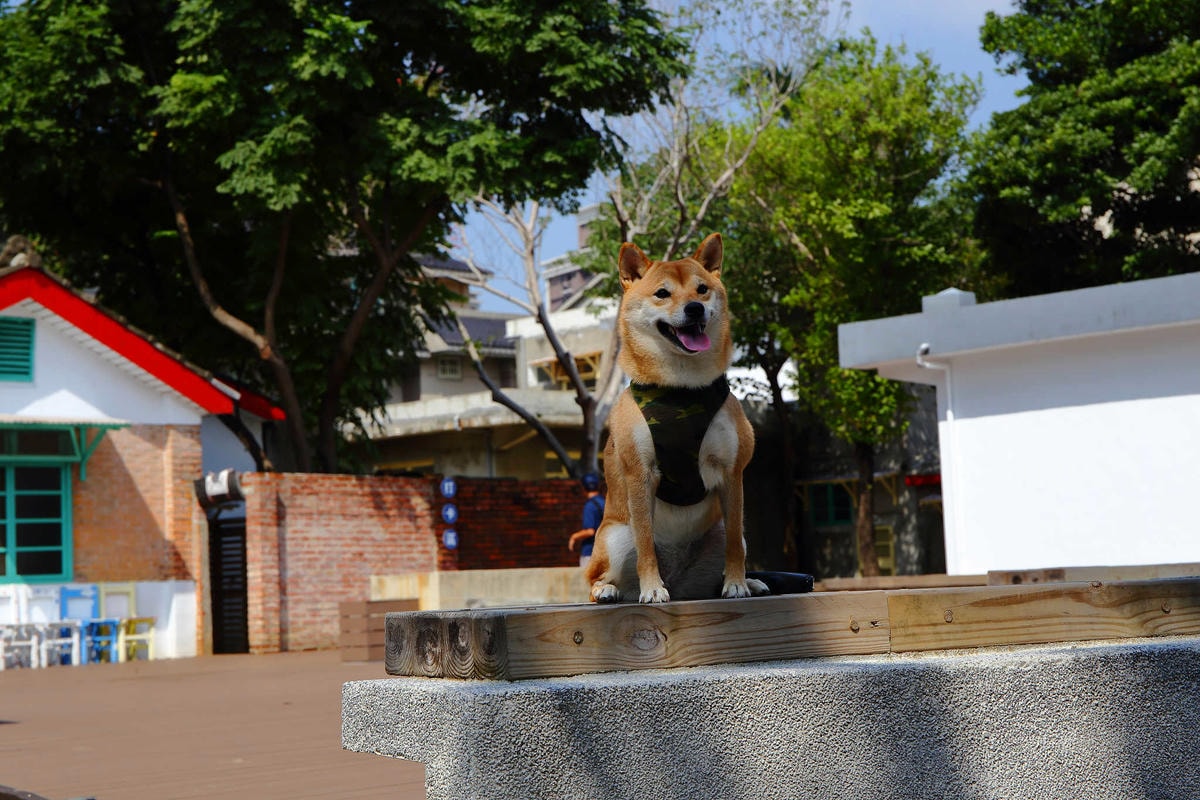 【遊。桃園】2018桃園眷村文化節-眷村大作讚〜出發!收集老眷村的歲月風情!文青必去,IG拍照打卡景點!