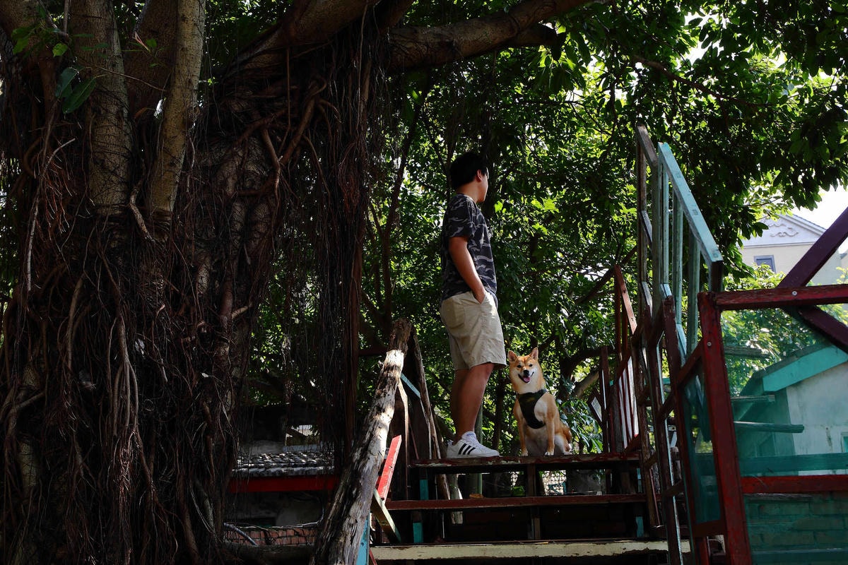 【遊。桃園】2018桃園眷村文化節-眷村大作讚〜出發!收集老眷村的歲月風情!文青必去,IG拍照打卡景點!