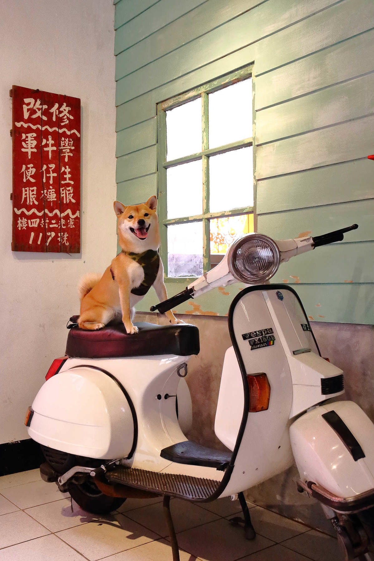 【遊。桃園】2018桃園眷村文化節-眷村大作讚〜出發!收集老眷村的歲月風情!文青必去,IG拍照打卡景點!