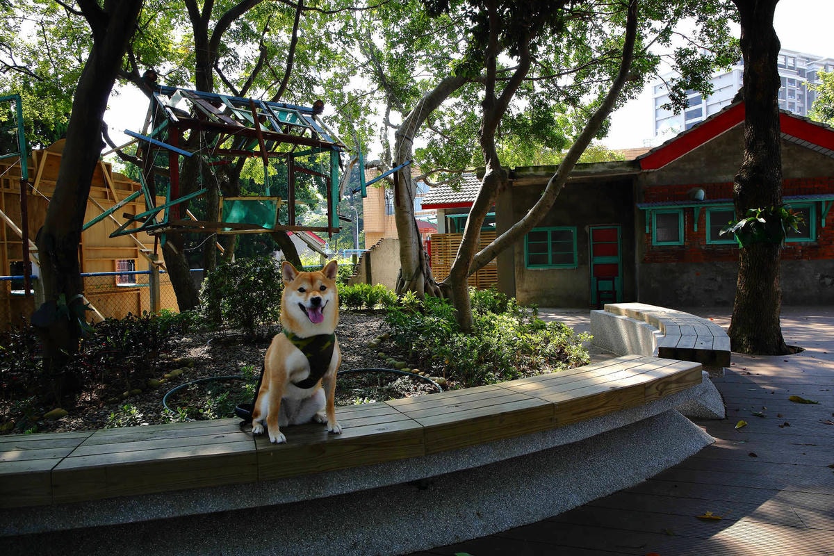 【遊。桃園】2018桃園眷村文化節-眷村大作讚〜出發!收集老眷村的歲月風情!文青必去,IG拍照打卡景點!