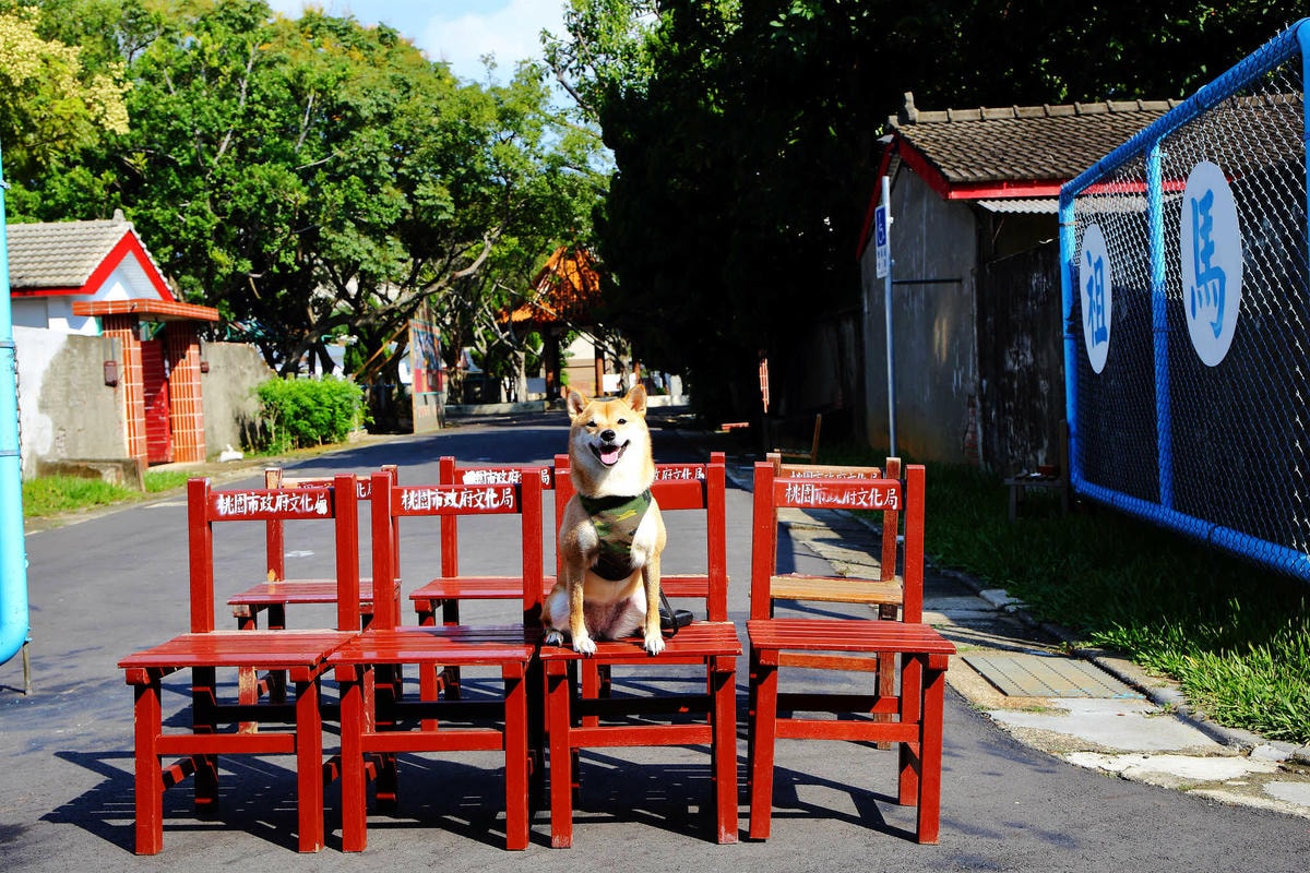 【遊。桃園】2018桃園眷村文化節-眷村大作讚〜出發!收集老眷村的歲月風情!文青必去,IG拍照打卡景點!