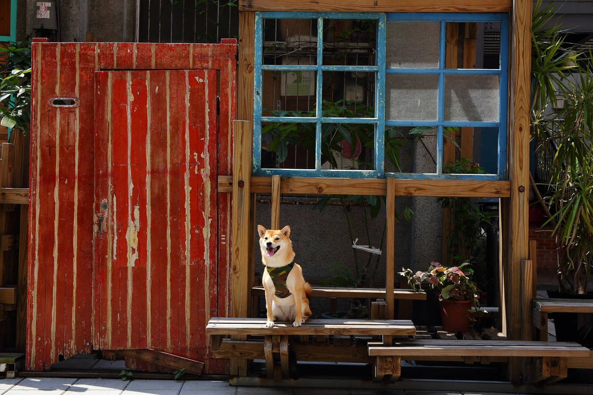 【遊。桃園】2018桃園眷村文化節-眷村大作讚〜出發!收集老眷村的歲月風情!文青必去,IG拍照打卡景點!