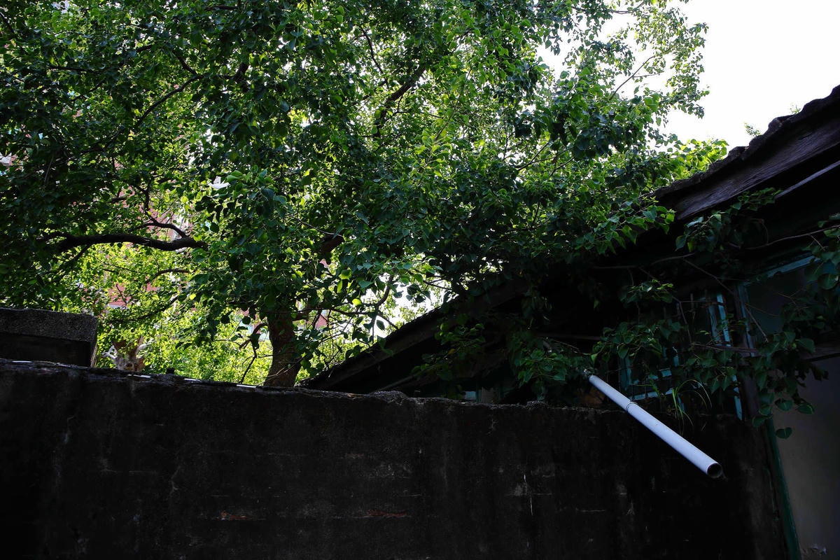 【遊。桃園】2018桃園眷村文化節-眷村大作讚〜出發!收集老眷村的歲月風情!文青必去,IG拍照打卡景點!