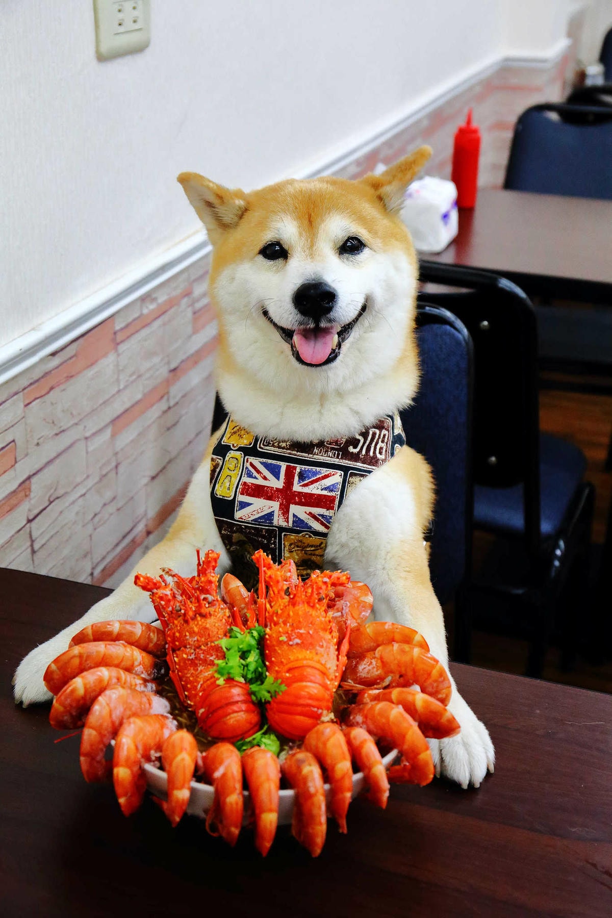 【食。桃園】台中楊大腸蚵仔蝦仁麵線-桃園中正店〜台南超浮誇「痛風系龍蝦麵線」來桃園啦!天使紅蝦鋪滿滿,不吃對不起自己的胃(已歇業)