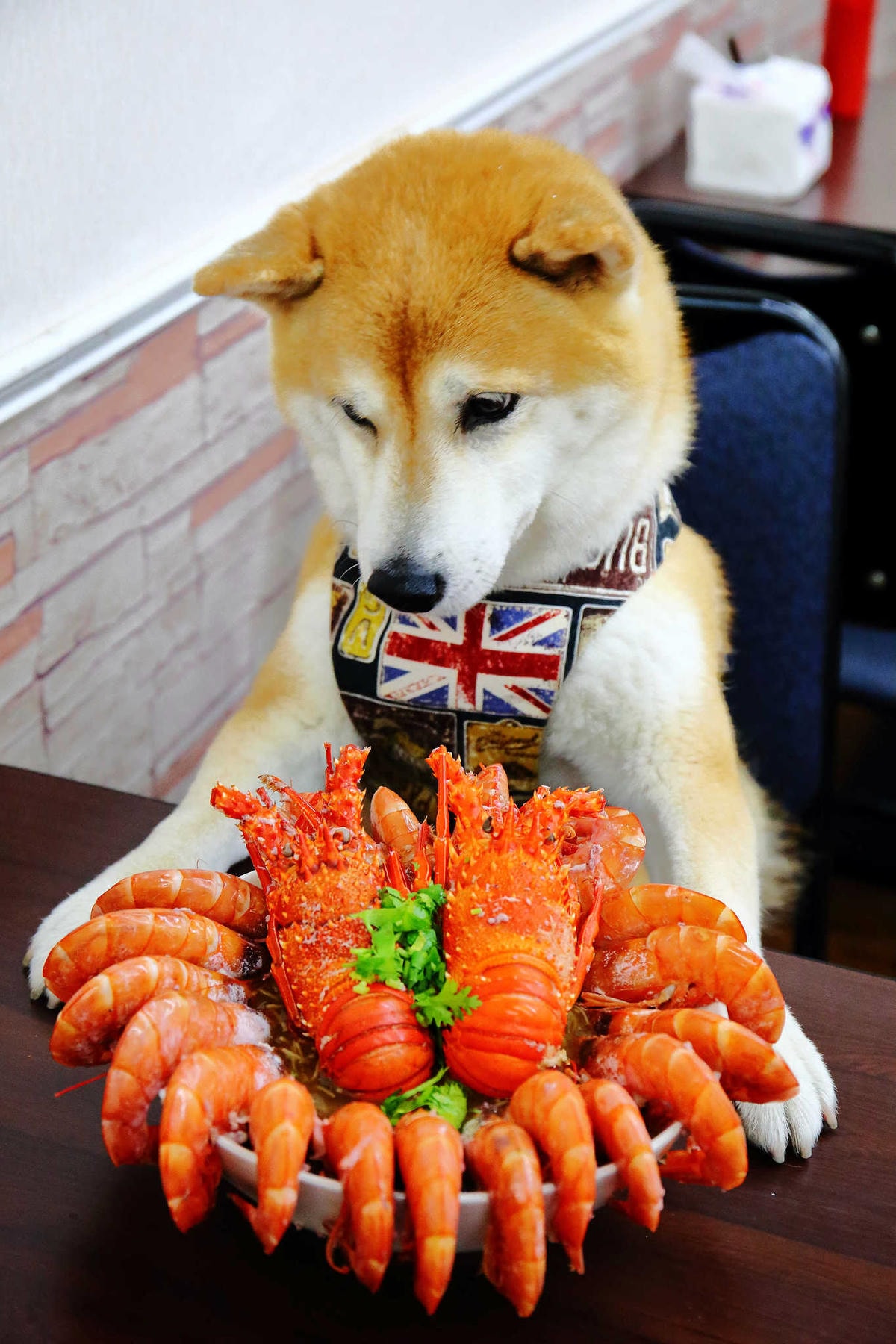 【食。桃園】台中楊大腸蚵仔蝦仁麵線-桃園中正店〜台南超浮誇「痛風系龍蝦麵線」來桃園啦!天使紅蝦鋪滿滿,不吃對不起自己的胃(已歇業)