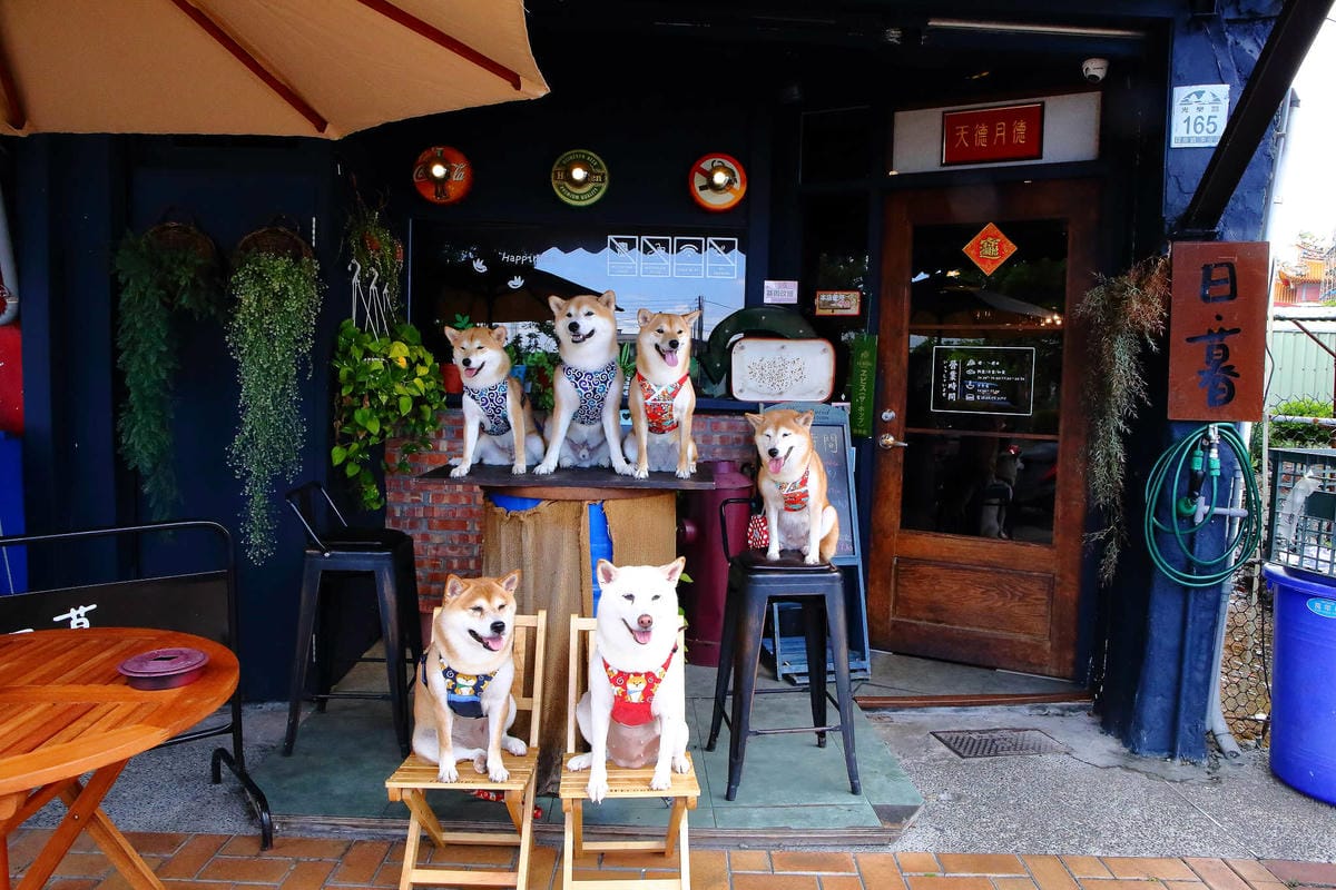 【食。宜蘭】日暮和風洋食館〜大胃王份量的日式早午餐，美味又好拍，IG人氣打卡餐廳！