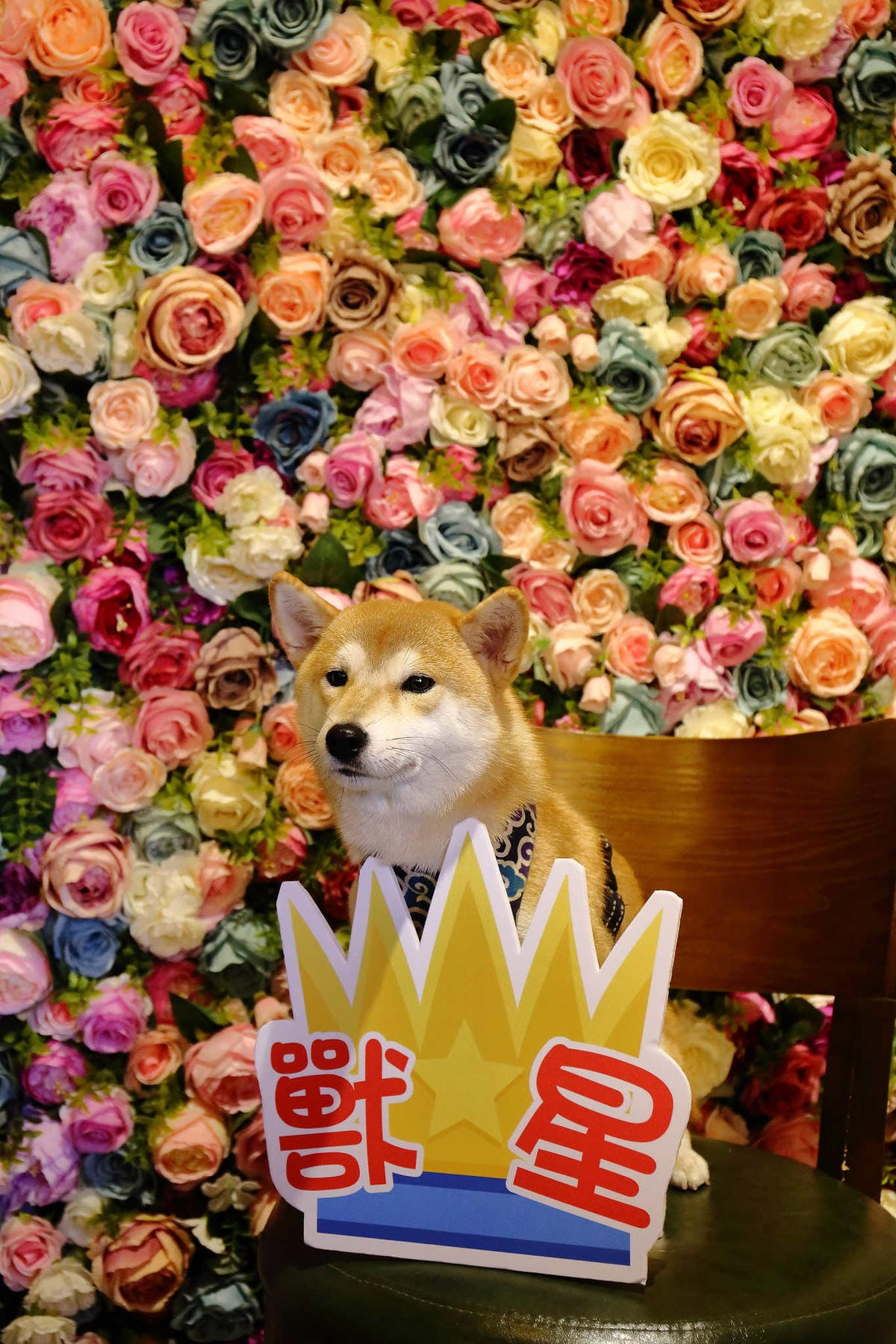 【食。宜蘭】日暮和風洋食館〜大胃王份量的日式早午餐，美味又好拍，IG人氣打卡餐廳！