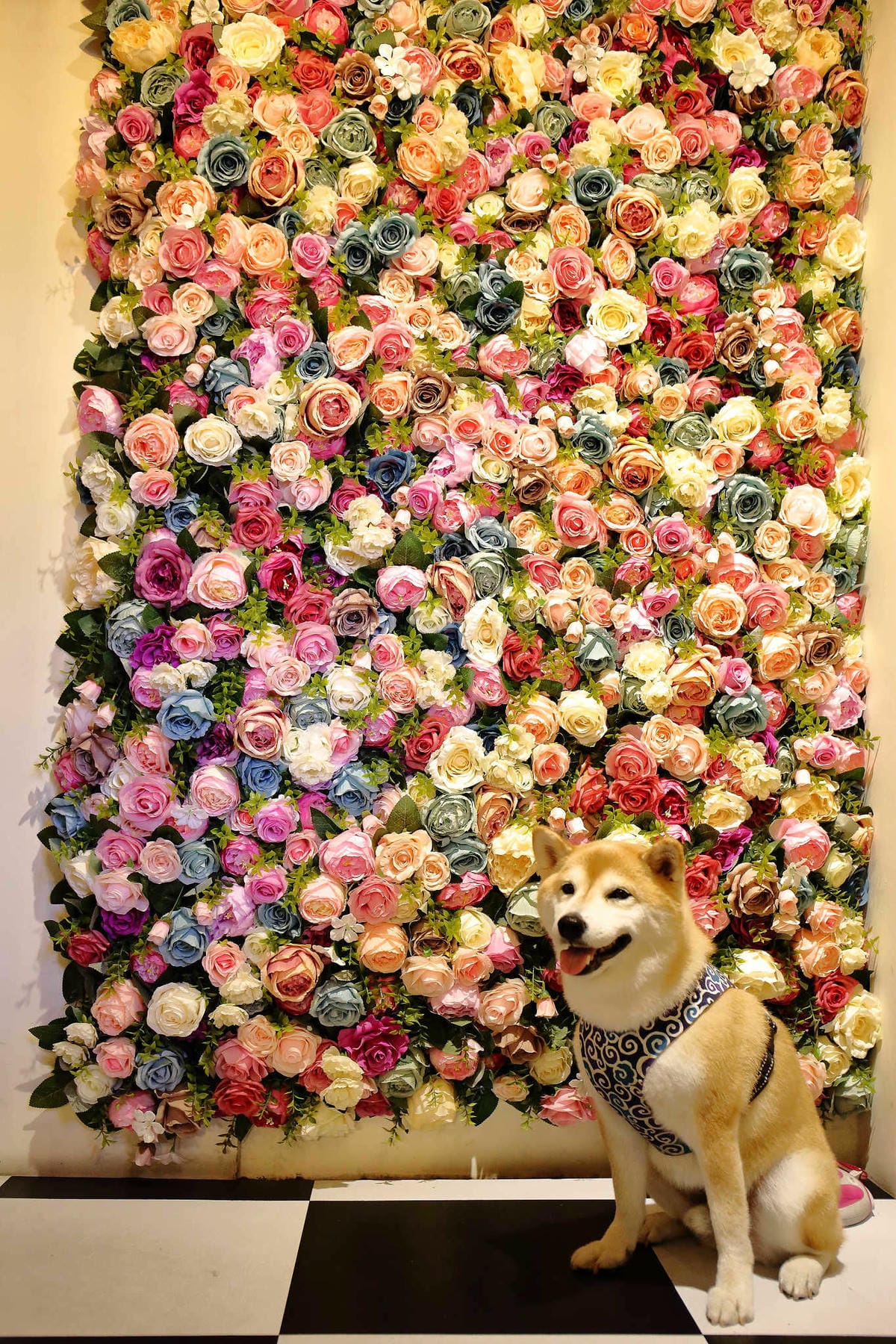 【食。宜蘭】日暮和風洋食館〜大胃王份量的日式早午餐，美味又好拍，IG人氣打卡餐廳！